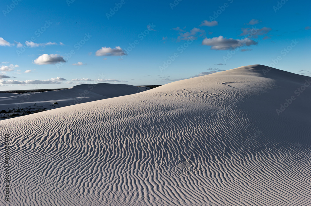 Morning light sand dune ripples, Bremmer Bay