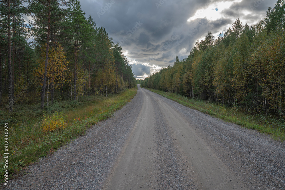 Fototapeta premium Small road in the boreal forest with total cloud cast