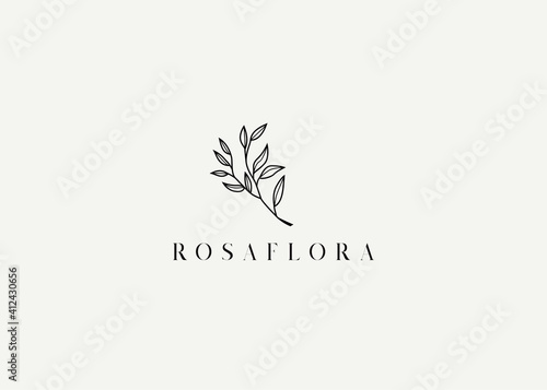 Botanic Nature Logo Design Template. Slim Leaf Icon Line Art Vector