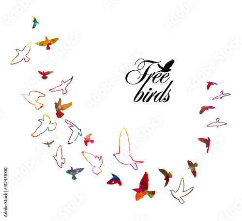 Fototapeta Naklejka Na Ścianę i Meble -  Bird watercolor. A flock of colorful birds. Mixed media. Vector illustration
