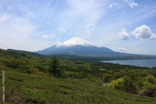 山中湖と冨士山 パノラマ台からの眺め。山中湖の東にある台地から、山中湖と富士山を一望する。春、手前の草原も緑に草が大地を彩る。