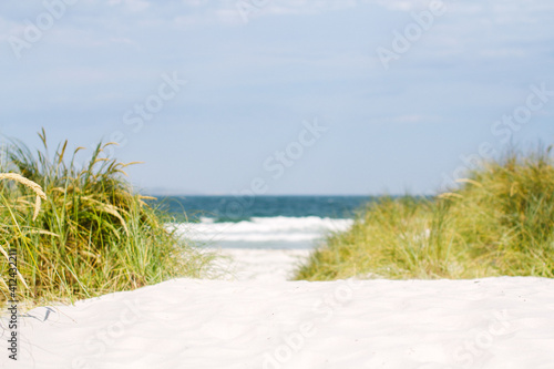 Wallpaper Mural Beach track Torontodigital.ca