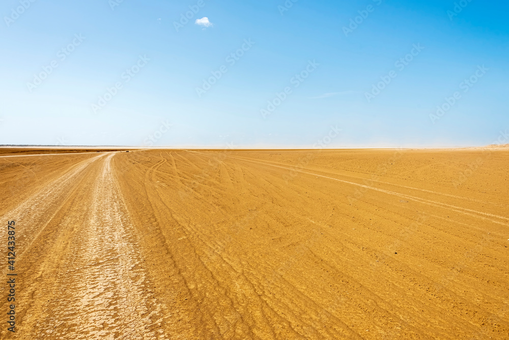 Fototapeta premium Scene of a desert landscape with car tracks on the ground, on a sunny day.