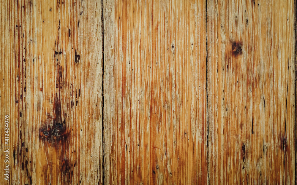 texture of bark wood use as natural background.Brown wood texture. Abstract background, empty template.
texture of bark wood use as natural background.Brown wood texture. Abstract background, empty template.