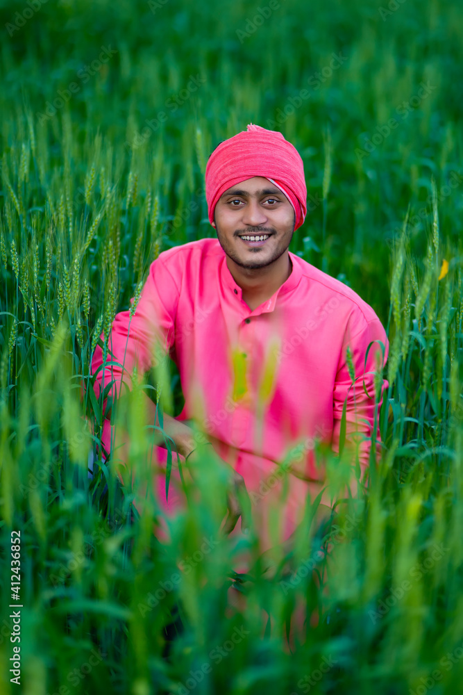 Indian farmer holding crop plant in hand at wheat field Indian farmer holding crop plant in hand at wheat field