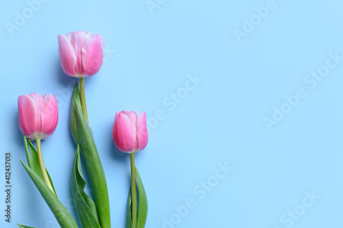 Beautiful flowers on color background