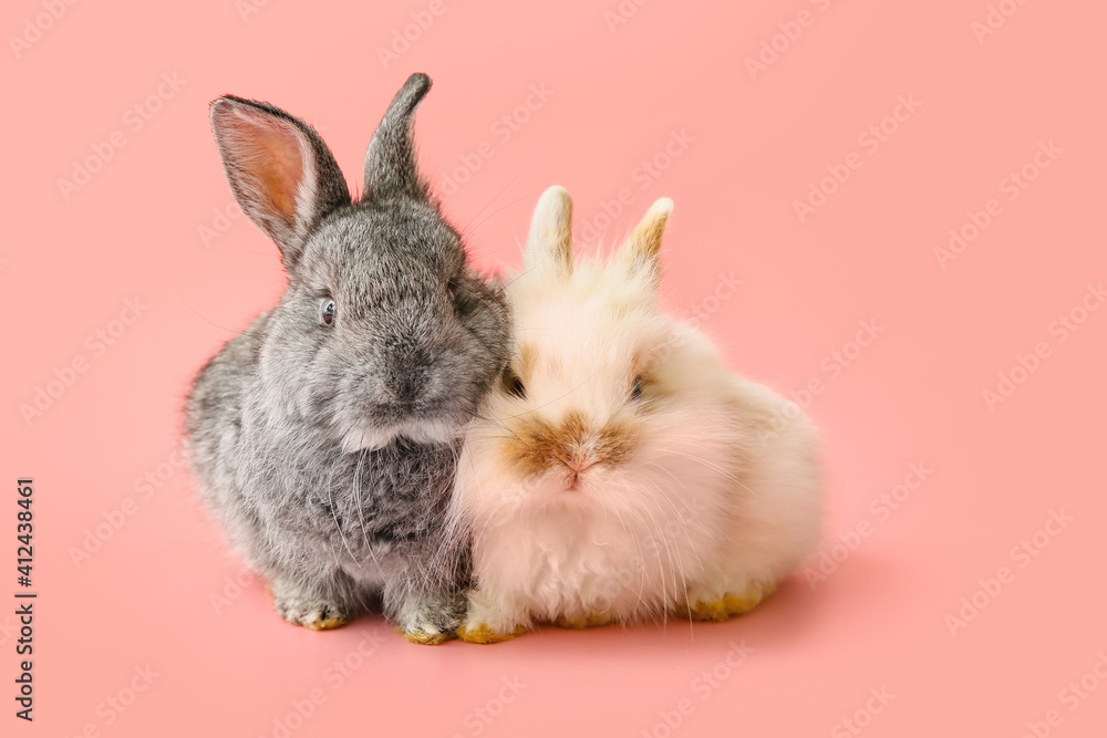 Cute funny rabbits on color background Cute funny rabbits on color background