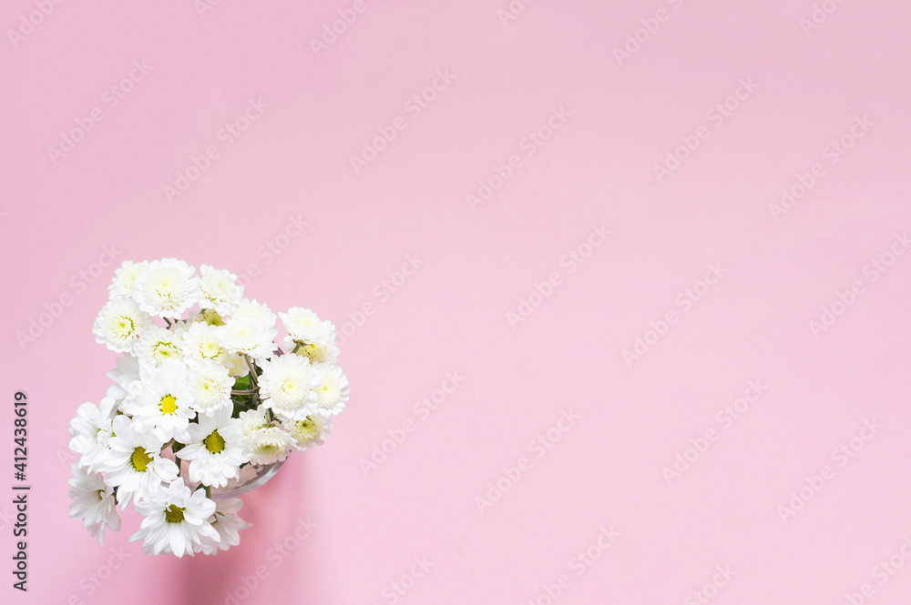 Bouquet of white chrysanthemums on a pink background. Floral background.