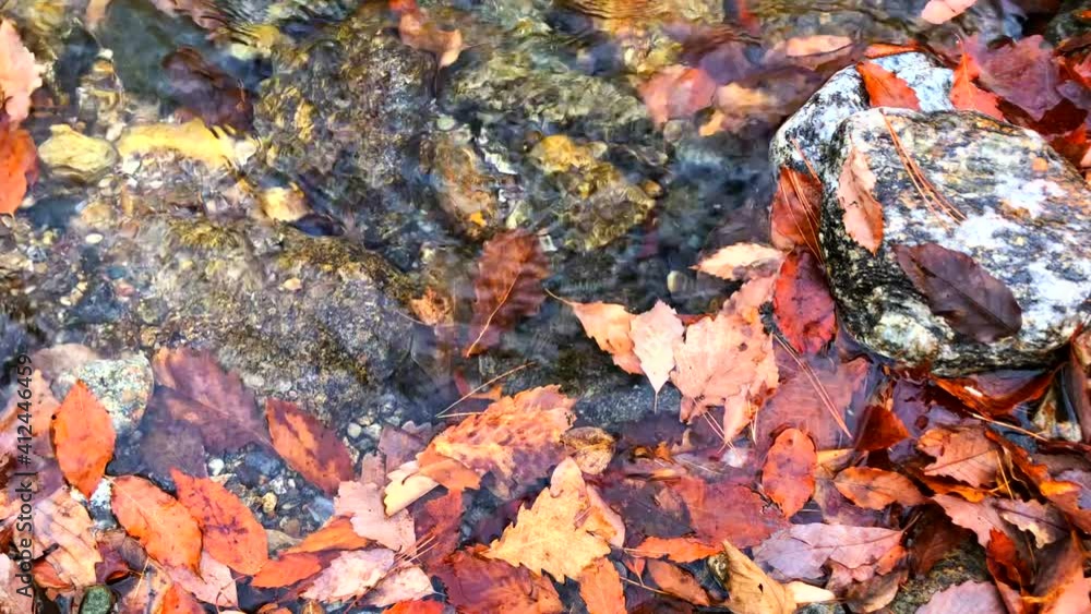 Autumn leaves has fallen in the valley river in the mountain. Autumn background. Autumn leaves has fallen in the valley river in the mountain. Autumn background.