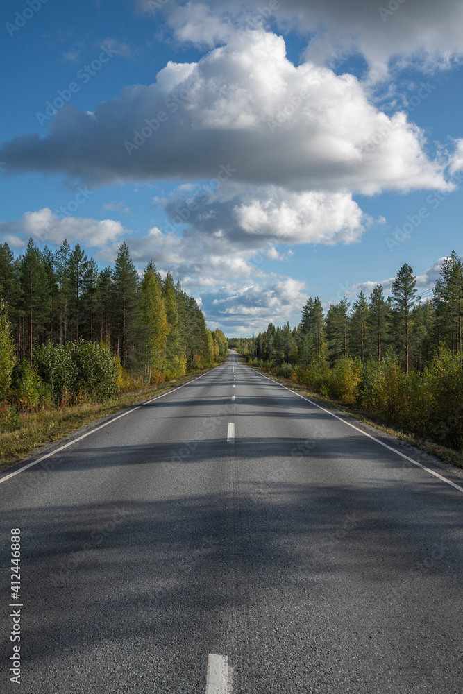 Road traveling the boreal forest showing downward slope with hills in the back in portrait