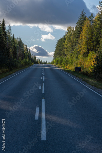 Road traveling the boreal forest showing upward slope with hills in the back in portrait