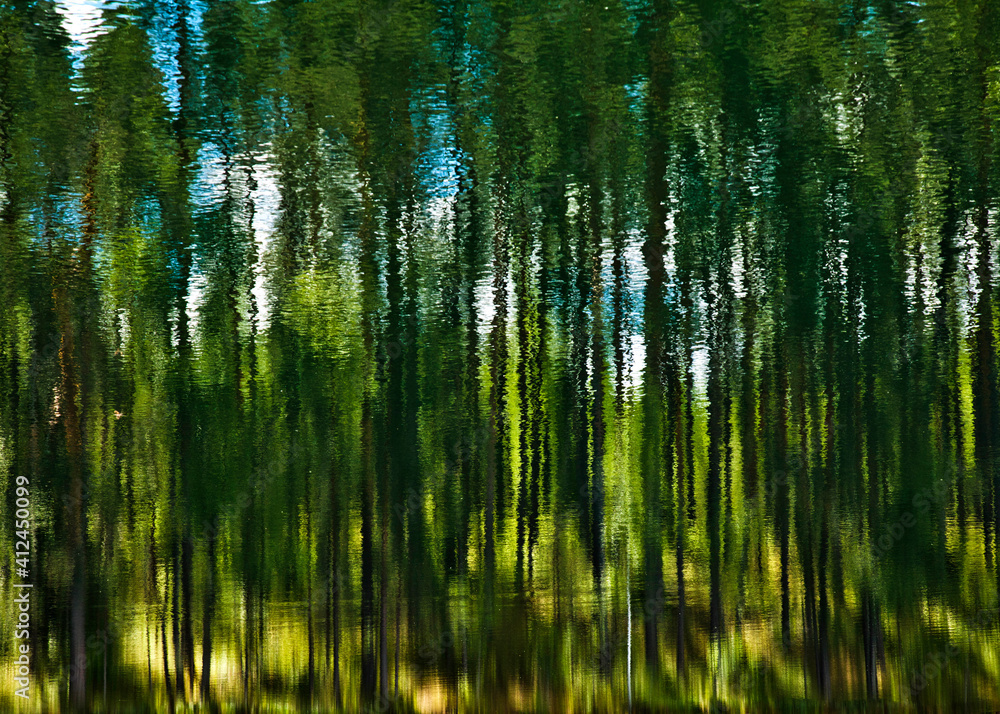 Reflection in the water blurred background Reflection in the water blurred background