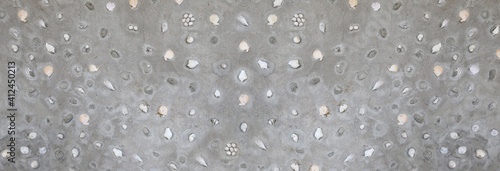 Panorama wall of mortar surface and have shells of sea clam decoration.