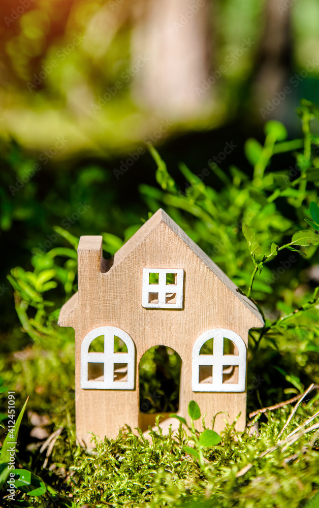 the symbol of the house stands on green moss the symbol of the house stands on green moss