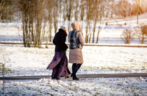 Two girls walk along the path in the winter Park 