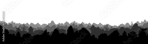 trees silhouettes