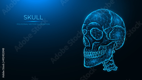 Polygonal vector illustration of a human skull. Low poly anatomical model of the skull and cervical spine on dark blue background.