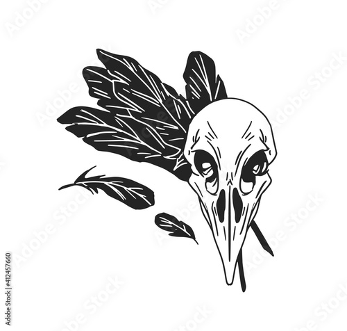 Black and white crow skull with feathers of bird. Raven skeleton for witchcraft and wizardry. Hand drawn vector illustration isolated on white background