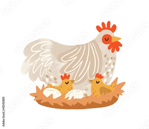Cute hen on nest with eggs and hatched chickens. Domestic bird during laying and brooding. Colorful flat textured vector illustration isolated on white background