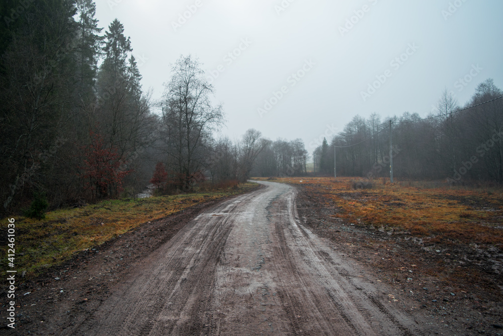 Muddy road in foggy forest