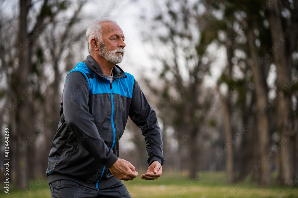 Senior man is practicing Tai Chi exercise in park. Senior man is practicing Tai Chi exercise in park.