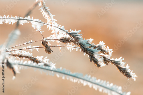 Frozen grass © Matej