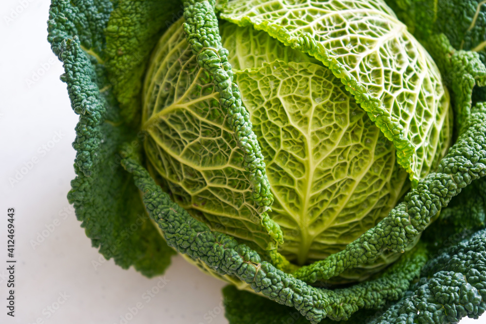 Fototapeta premium Fresh organic savoy cabbage head isolated on a white background