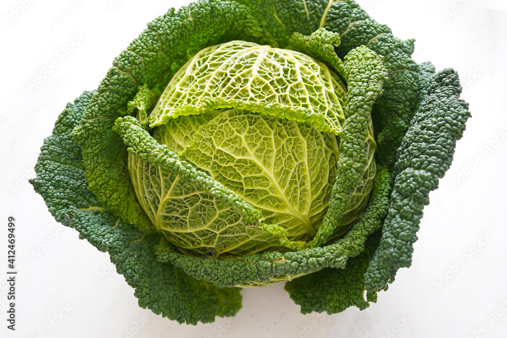 Fototapeta premium Fresh organic savoy cabbage head isolated on a white background