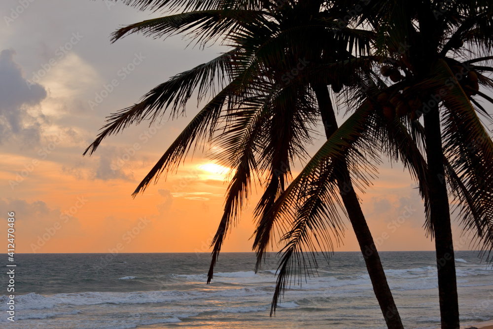 Tropical sunset scene with palms