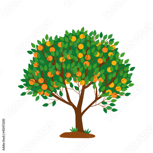 Tangerine tree isolated on white. Juicy citrus harvest. Bright orange fruits on the branches of a tree. Flat vector illustration.