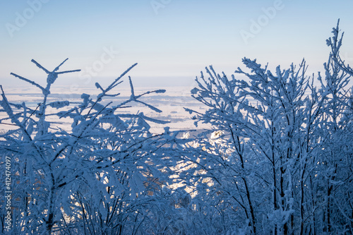 Fototapeta Naklejka Na Ścianę i Meble -  Śnieżne drzewa na horyzoncie