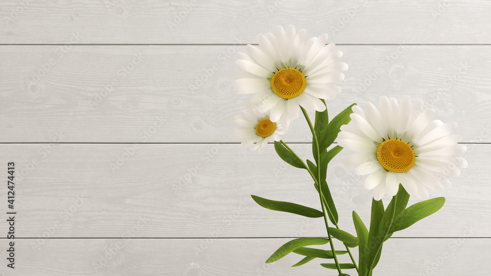 Obraz premium Camomile bouquet tied with twine on white wooden background.