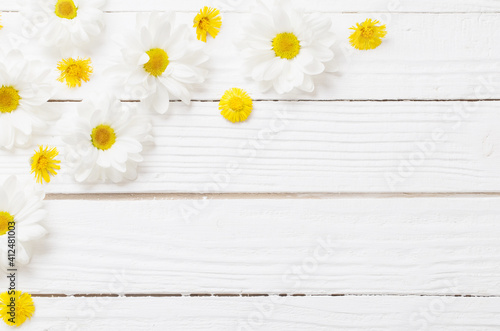 white chrysanthemum and yellow coltsfoot on white wooden background photo