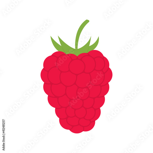 Raspberry icon. Ripe berry sign. Vector illustration.