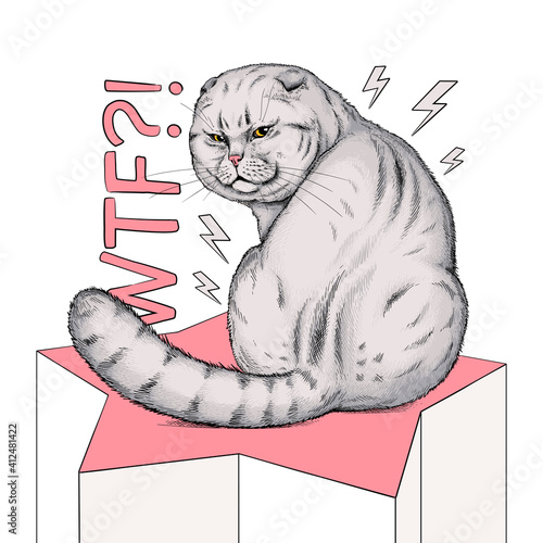 Cute cranky scottish fold cat illustration. WTF illustration. Stylish image for printing on any surface