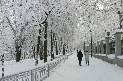 Alley of a snowy winter park with two women walking along it