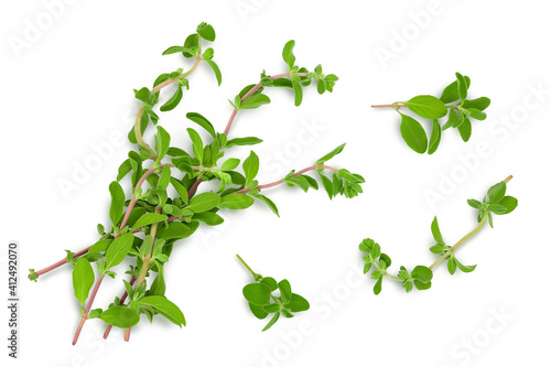 Oregano or marjoram leaves isolated on white background with clipping path and full depth of field. Top view. Flat lay photo
