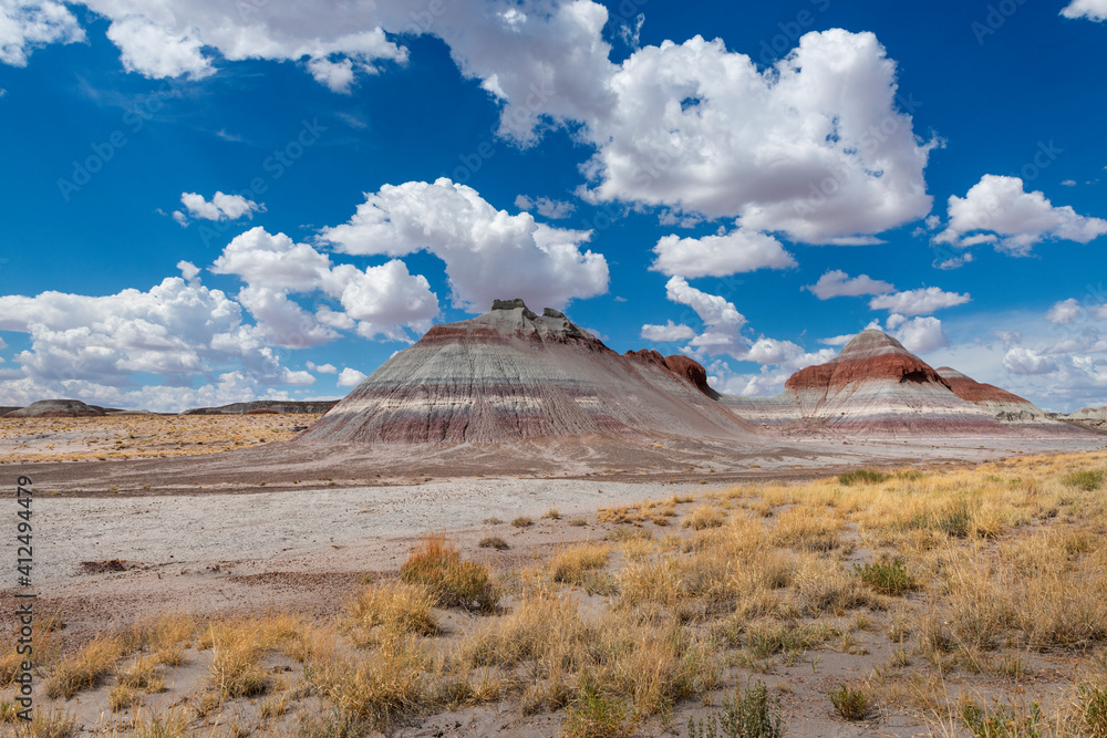 Scenic view of the formation known as The Teepes, in the Petrified Desert National Park, in the State of Arizona, USA; Concept for travel in America and road trip