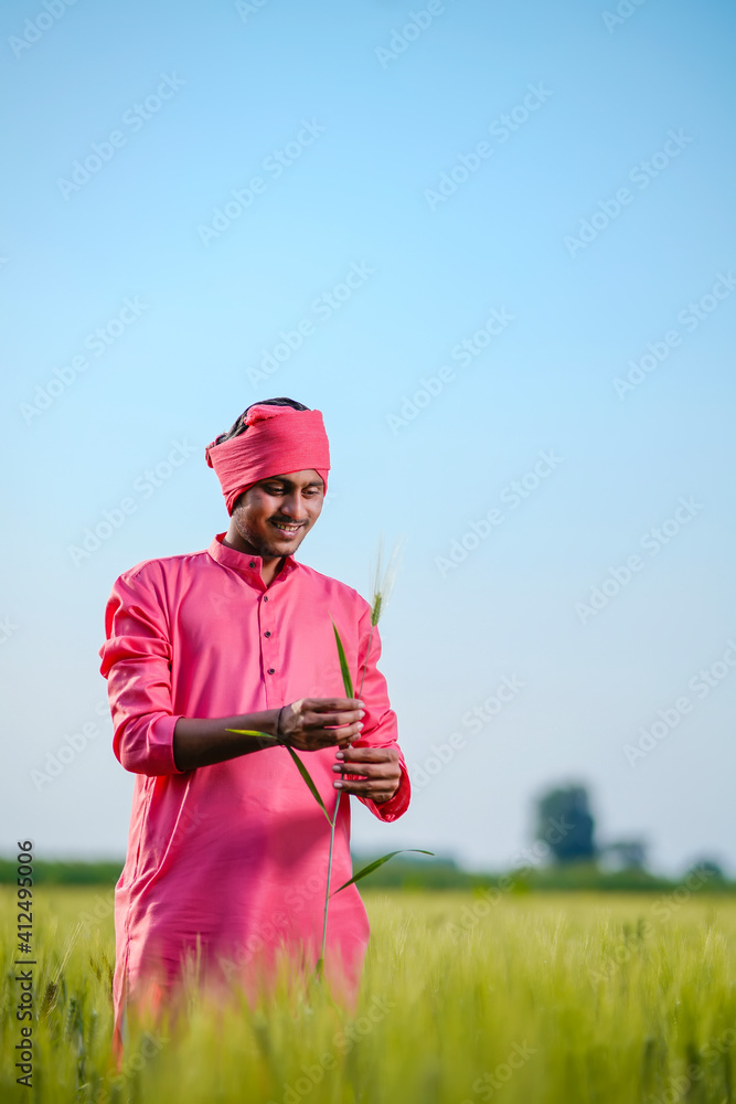 Indian farmer holding crop plant in hand at wheat field on sky background