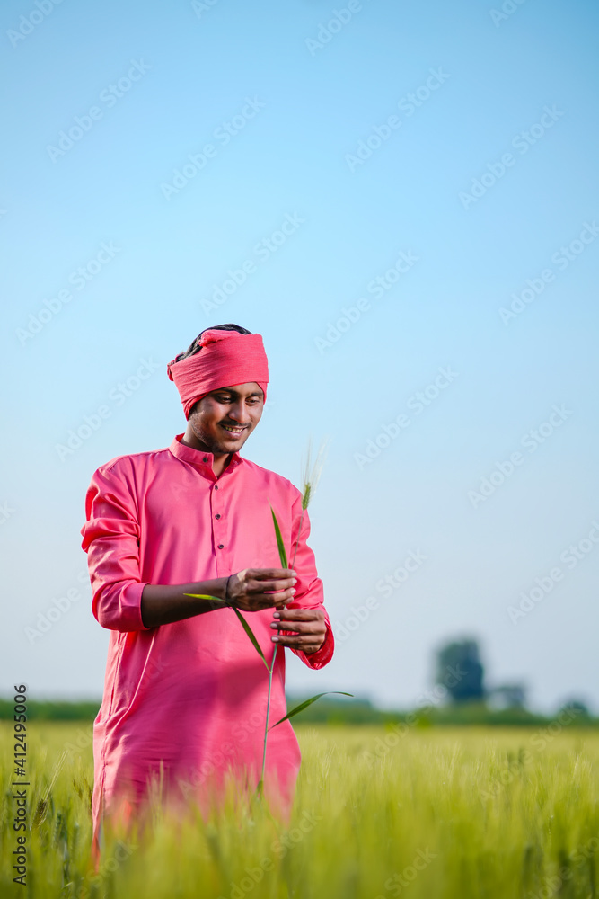 Indian farmer holding crop plant in hand at wheat field on sky background Indian farmer holding crop plant in hand at wheat field on sky background