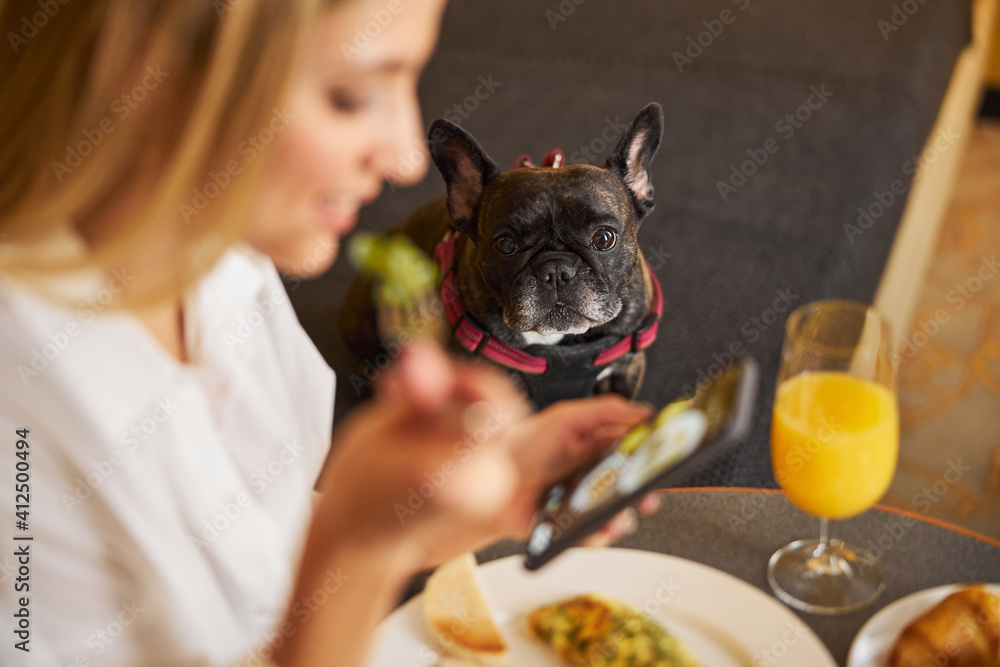 Ταπετσαρία Blogger ignoring her pet during the food photography