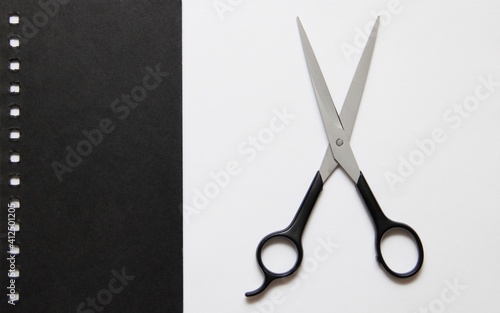 scissors 