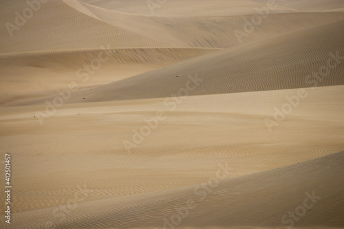 Desert dunes sand shades