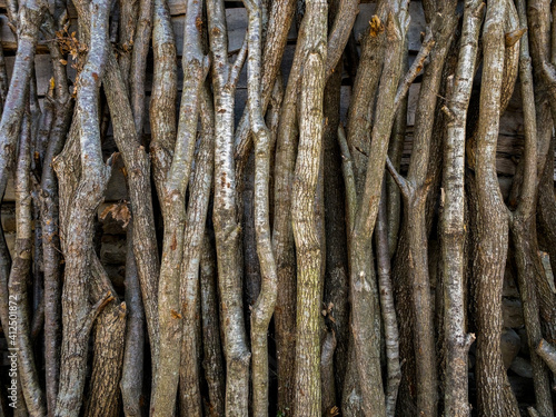 stacks of firewood arranged side by side