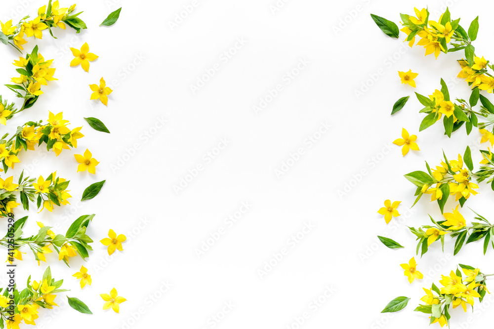 Wild spring flowers top view. Floral frame with space for text Wild spring flowers top view. Floral frame with space for text
