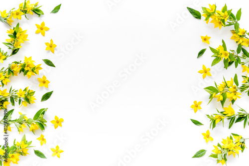 Wild spring flowers top view. Floral frame with space for text