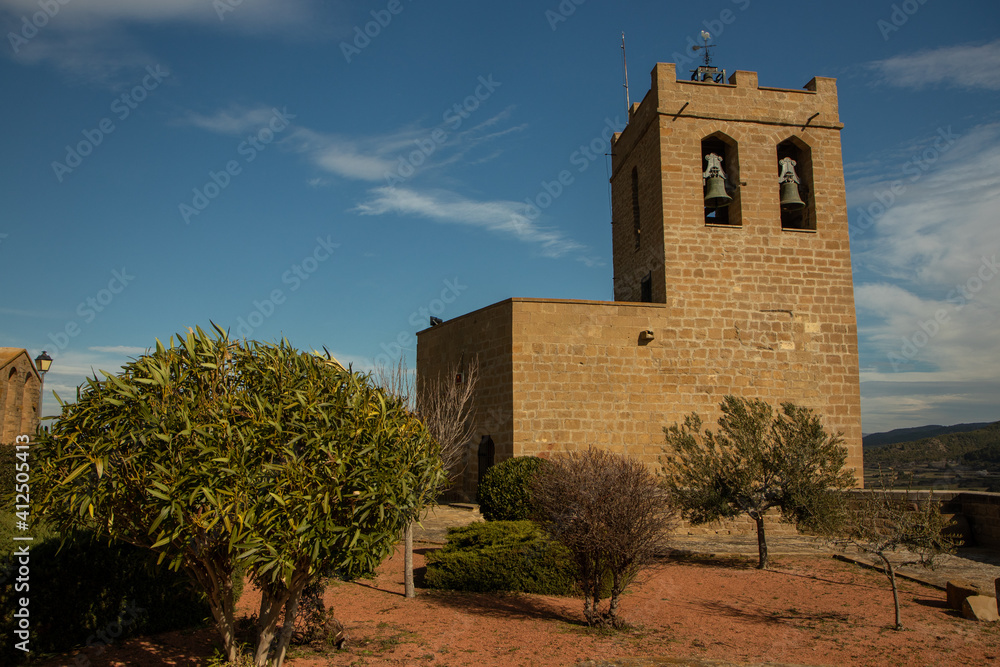 castle on a mountain