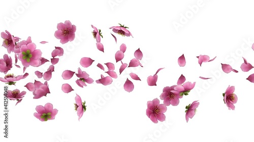 3D animation of a pink cherry sakura flower petals flow with alpha layer