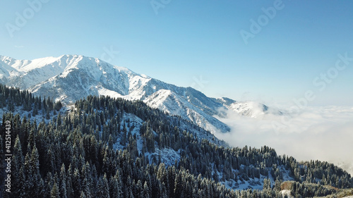 Snow forest in the mountains, above the clouds. View from above, from the drone. Coniferous trees are covered with snow. Clouds float along the gorge. Snowy hills and Sunny day. Tourists in mountains
