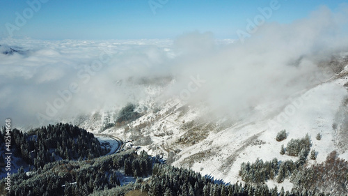 Snow forest in the mountains, above the clouds. View from above, from the drone. Coniferous trees are covered with snow. Clouds float along the gorge. Snowy hills and Sunny day. Tourists in mountains